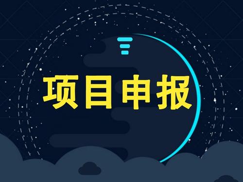 企業(yè)可以獨自申請項目補貼嗎？成功率怎么樣？