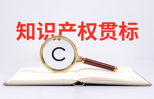 小微初創(chuàng)企業(yè)怎么申請知識產(chǎn)權(quán)貫標(biāo)？