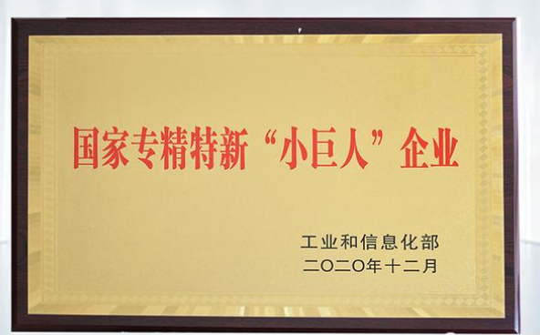 廣東省企業(yè)專(zhuān)精特新小巨人企業(yè)的認(rèn)定條件補(bǔ)貼
