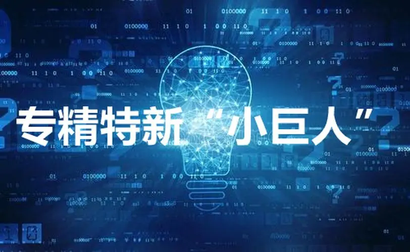 【詳細(xì)】專精特新企業(yè)申報流程、條件、領(lǐng)域